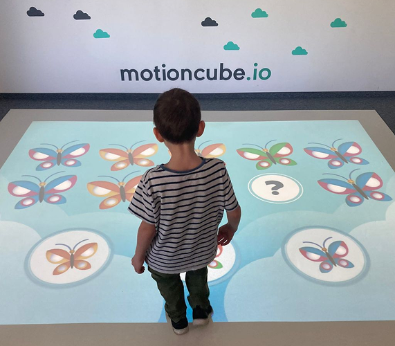 The interactive environment for educational purposes